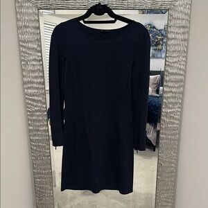 Very gently worn Navy Theory Dress